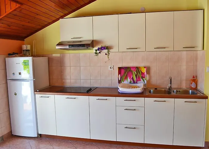 Delfin Daire Grebaštica