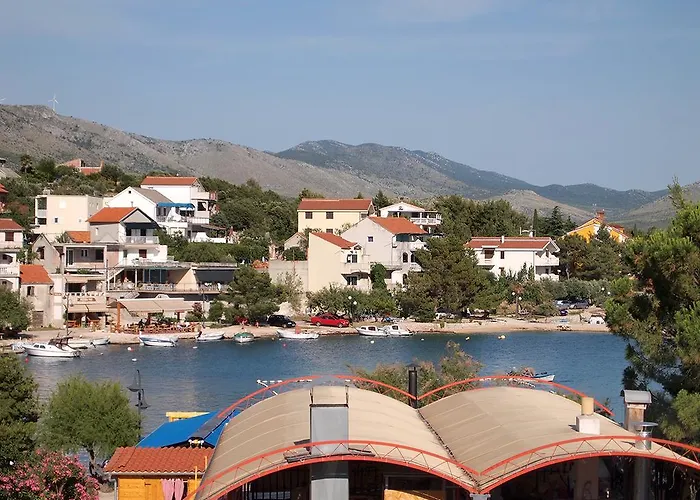 Delfin Daire Grebaštica