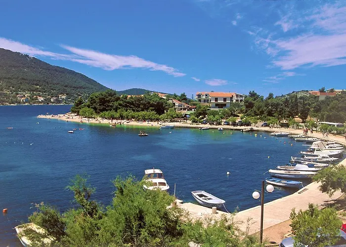 Delfin Daire Grebaštica